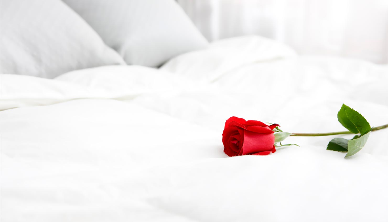 package saint-valentin marrakech